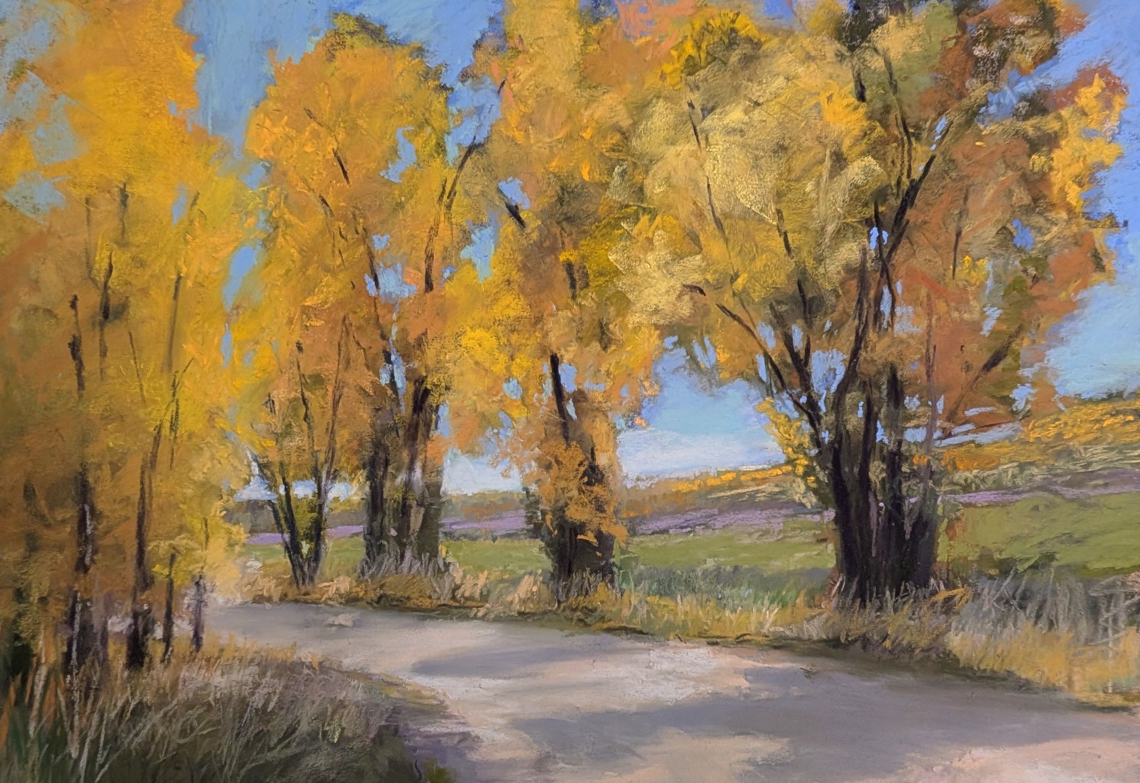 Autumn Colors in Steamboat Springs, Colorado